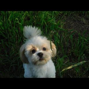 Meet your Posher, Nikki